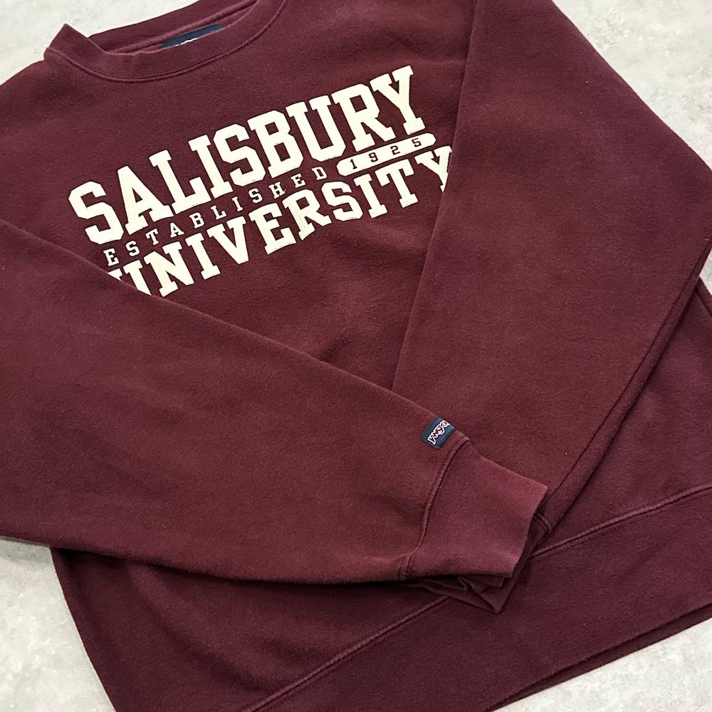 Salisbury University Vintage Sweater