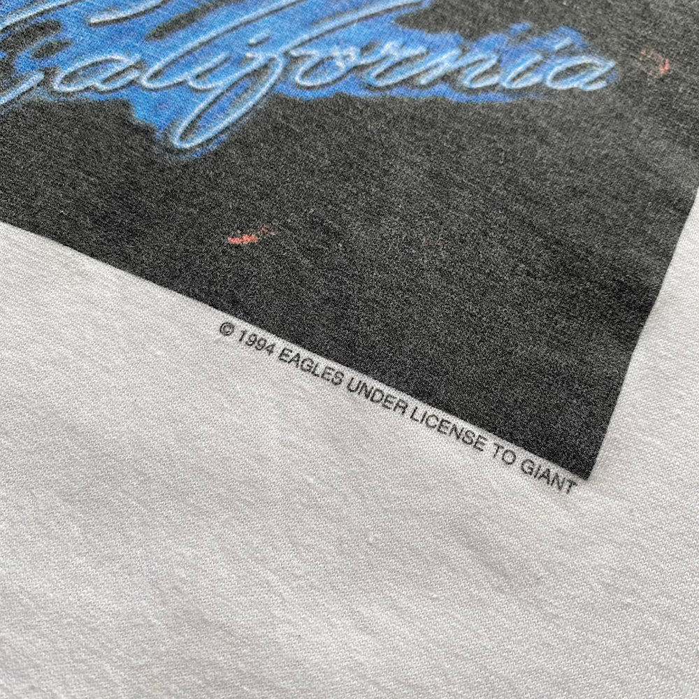 The Eagles 1994 Hotel California Hell Freezes Over Tour Vintage T-shirt