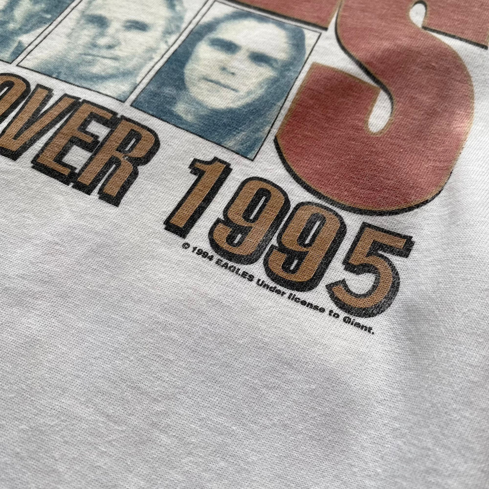 The Eagles 1994 Hotel California Hell Freezes Over Tour Vintage T-shirt