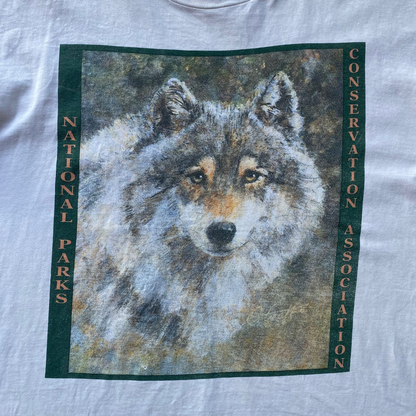 National Parks Conservation Association Vintage T-shirt