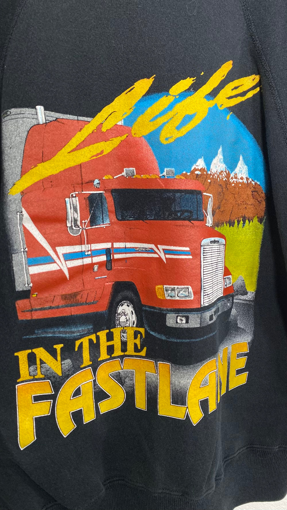 Life in The Fast Lane Truck 1990's Vintage Sweater