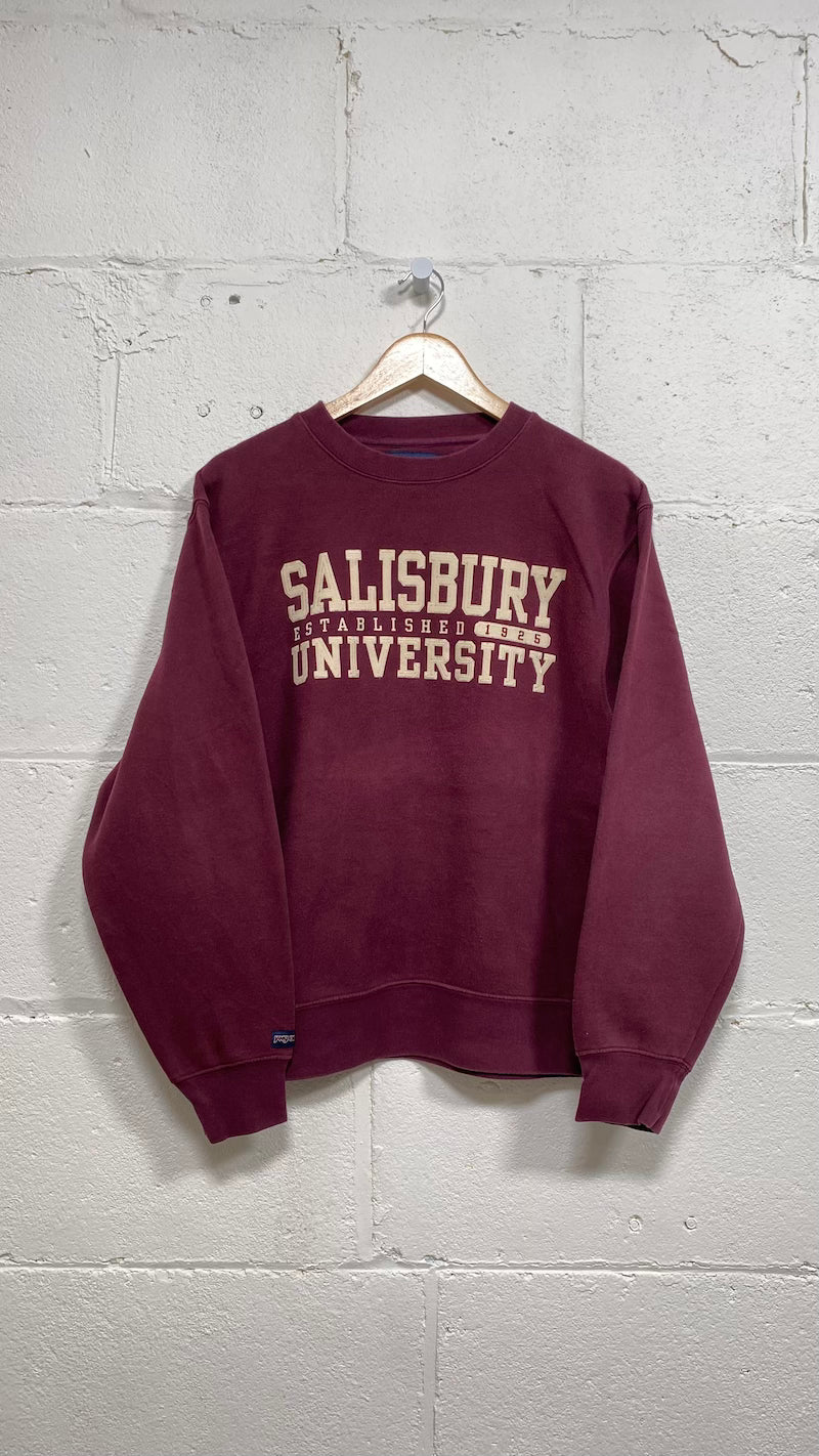 Salisbury University Vintage Sweater