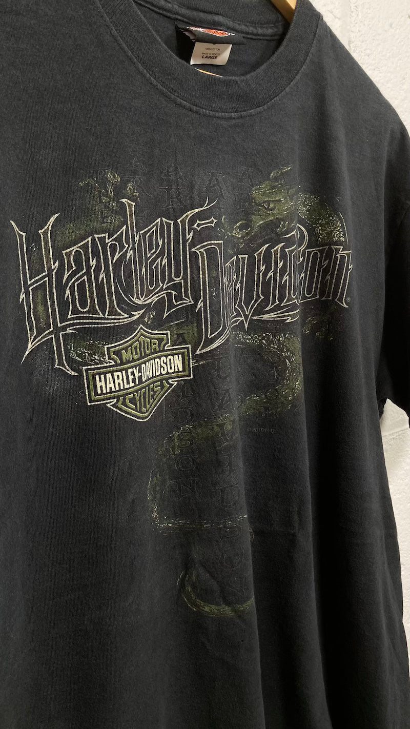 Black (with green swirly thing) Harley Davidson T-Shirt